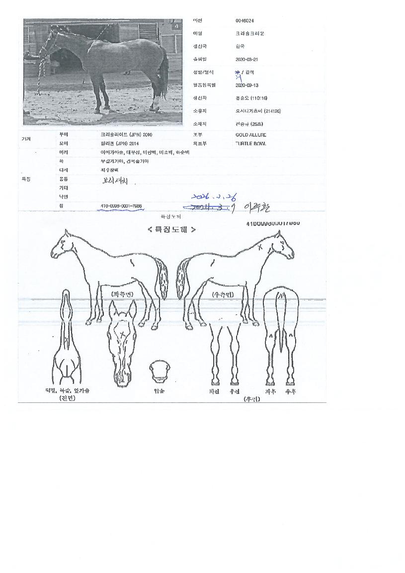 Å©¸®¼ÖÅ©¶ó¿îÀÇ Ãø¸é,¿ì¸é,µÞ¸é,µÎ»ó,´Ù¸®ÀÇ Æ¯Â¡µµÇØ
