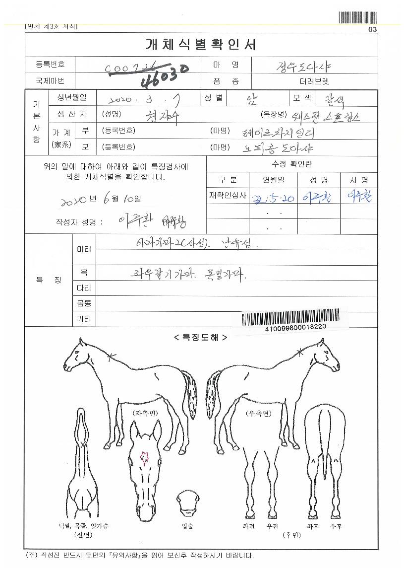 ���쵵�ٻ��� ����,���,�޸�,�λ�,�ٸ��� Ư¡����