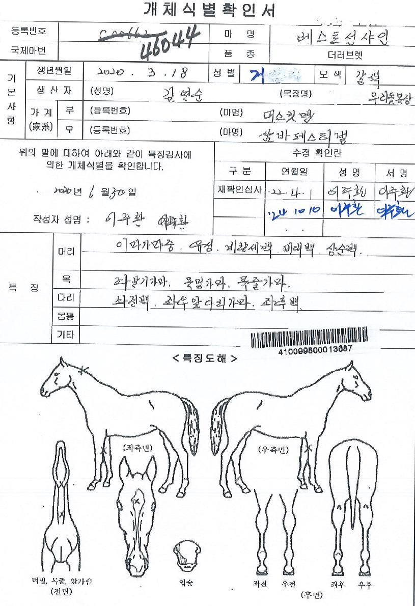 º£½ºÆ®¼±»þÀÎÀÇ Ãø¸é,¿ì¸é,µÞ¸é,µÎ»ó,´Ù¸®ÀÇ Æ¯Â¡µµÇØ