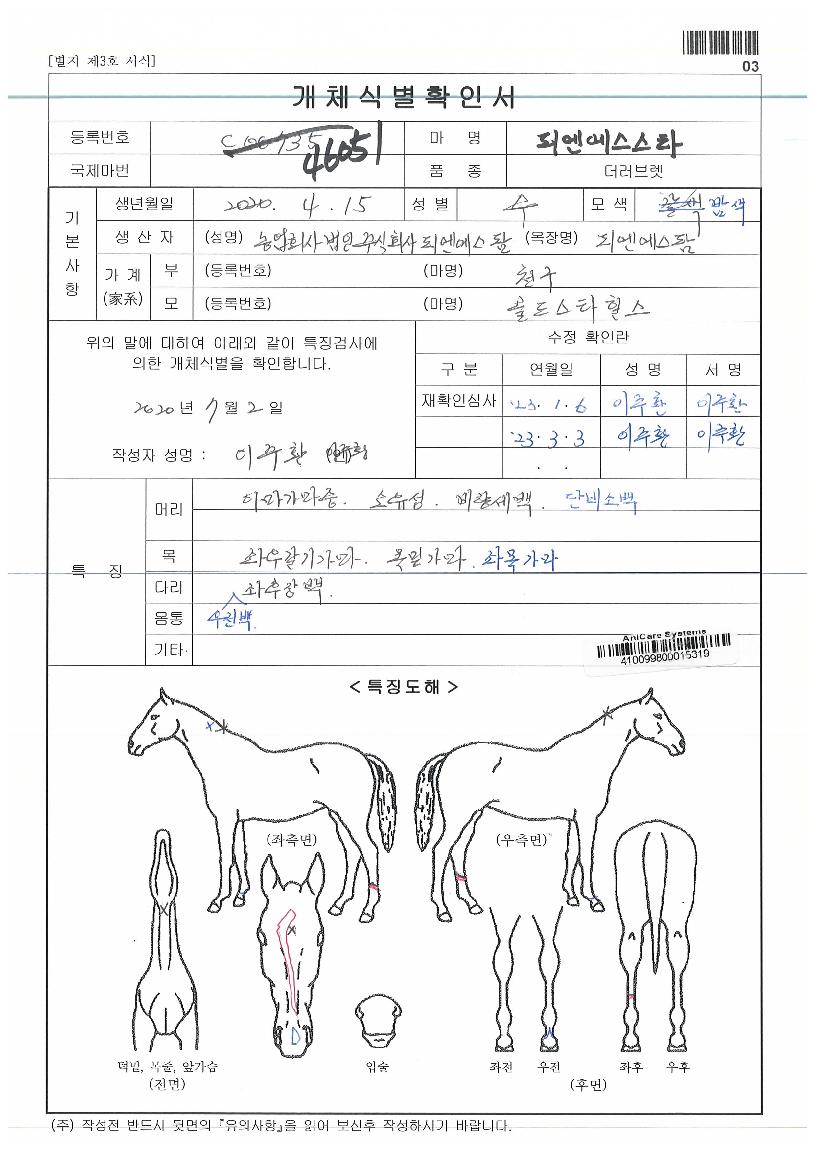 ÇÇ¿£¿¡½º½ºÅ¸ÀÇ Ãø¸é,¿ì¸é,µÞ¸é,µÎ»ó,´Ù¸®ÀÇ Æ¯Â¡µµÇØ