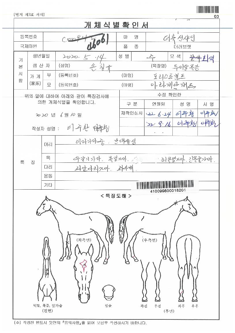 ´õ·Ï¼±»þÀÎÀÇ Ãø¸é,¿ì¸é,µÞ¸é,µÎ»ó,´Ù¸®ÀÇ Æ¯Â¡µµÇØ