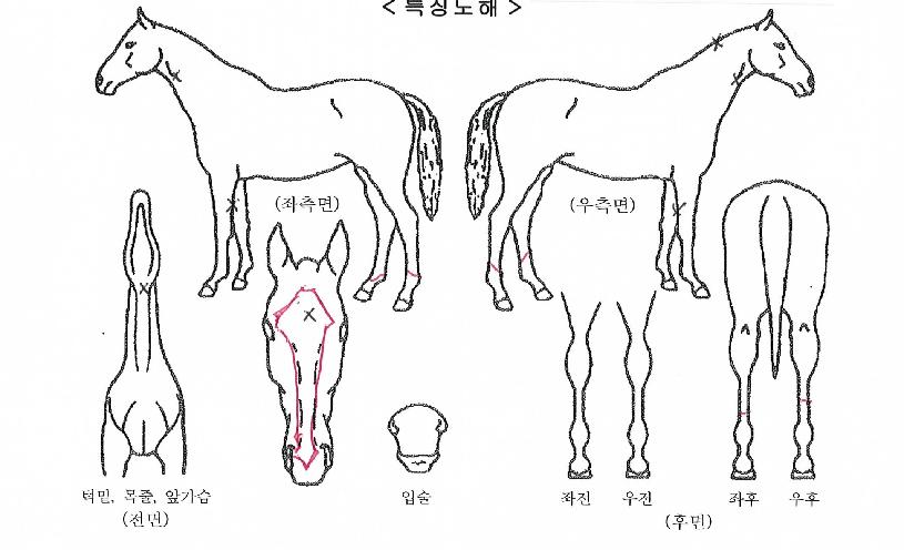 ������ŷ�� ����,���,�޸�,�λ�,�ٸ��� Ư¡����