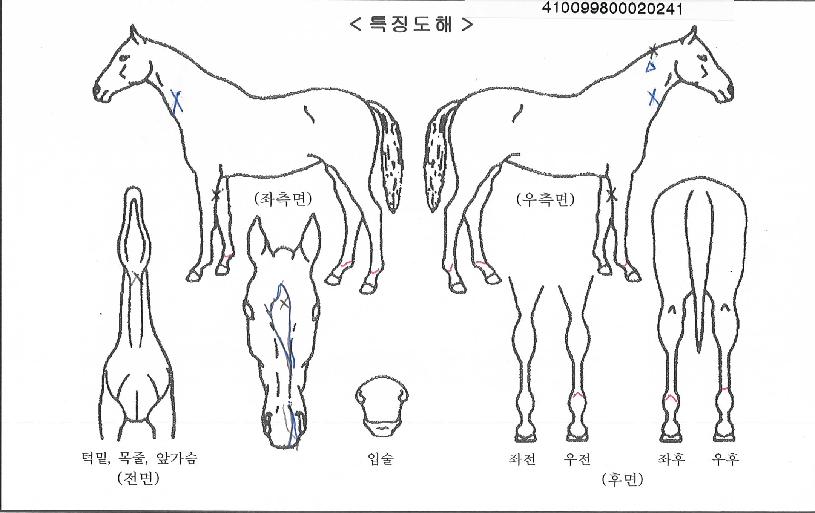 �̿���ġ������ ����,���,�޸�,�λ�,�ٸ��� Ư¡����