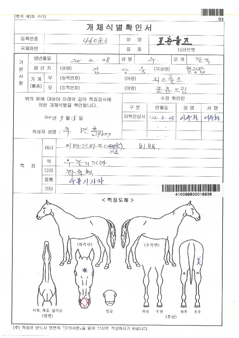 Æ÷Ãá·êÁîÀÇ Ãø¸é,¿ì¸é,µÞ¸é,µÎ»ó,´Ù¸®ÀÇ Æ¯Â¡µµÇØ