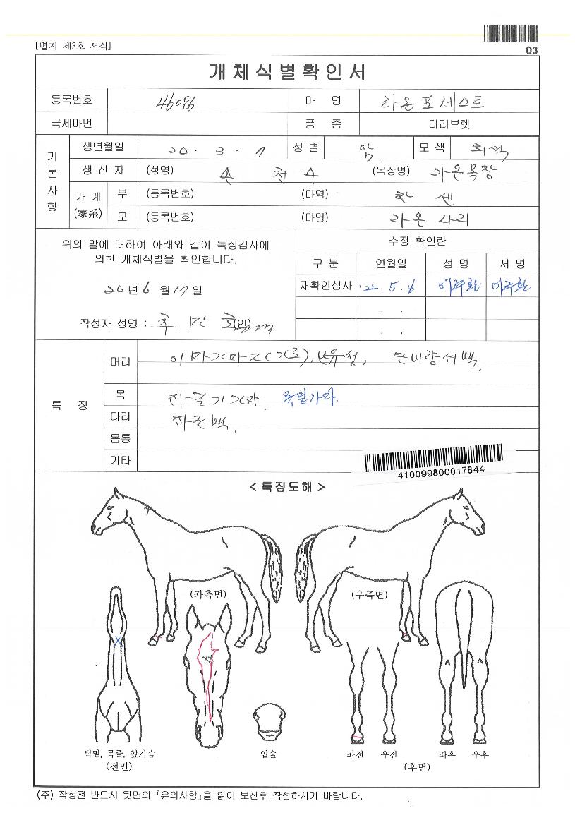 ¶ó¿ÂÆ÷·¹½ºÆ®ÀÇ Ãø¸é,¿ì¸é,µÞ¸é,µÎ»ó,´Ù¸®ÀÇ Æ¯Â¡µµÇØ