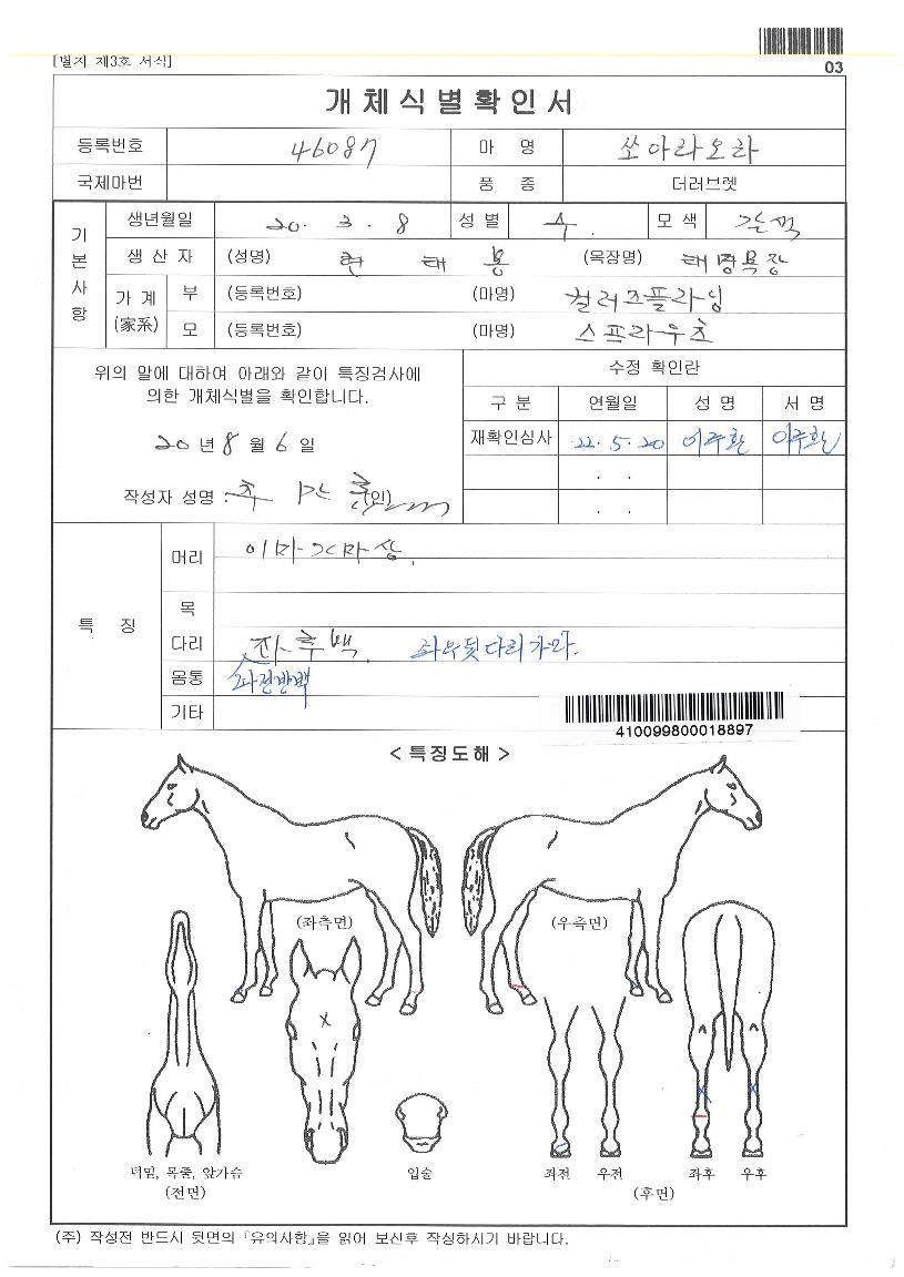 ½î¾Æ¶ó¿À¶óÀÇ Ãø¸é,¿ì¸é,µÞ¸é,µÎ»ó,´Ù¸®ÀÇ Æ¯Â¡µµÇØ