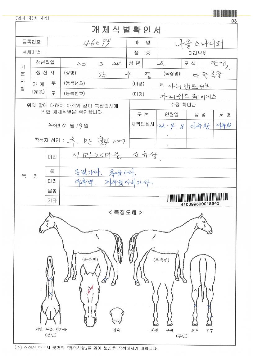 ³ª¿Ã½º³ªÀÌÆÛÀÇ Ãø¸é,¿ì¸é,µÞ¸é,µÎ»ó,´Ù¸®ÀÇ Æ¯Â¡µµÇØ