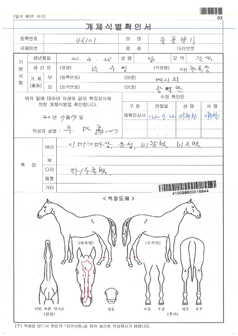 µé²ÉÇâ±âÀÇ Ãø¸é,¿ì¸é,µÞ¸é,µÎ»ó,´Ù¸®ÀÇ Æ¯Â¡µµÇØ