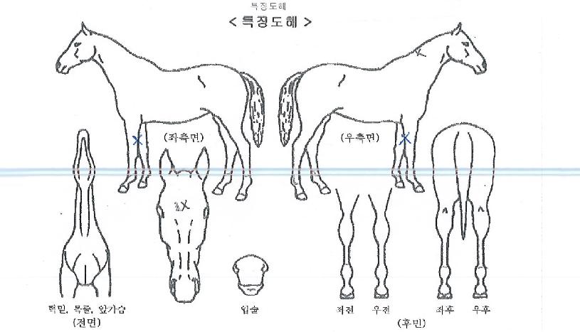 ���Ǻ����� ����,���,�޸�,�λ�,�ٸ��� Ư¡����