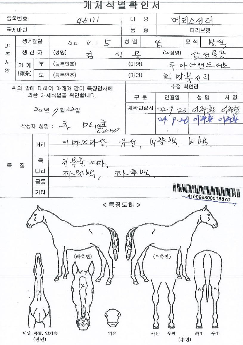 ¸ÞƼ½º¼±´õÀÇ Ãø¸é,¿ì¸é,µÞ¸é,µÎ»ó,´Ù¸®ÀÇ Æ¯Â¡µµÇØ