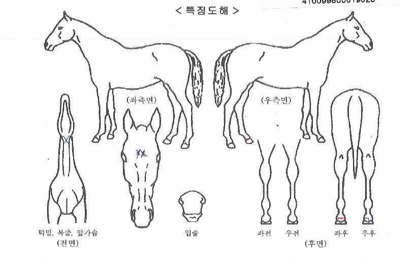 �帲������ ����,���,�޸�,�λ�,�ٸ��� Ư¡����