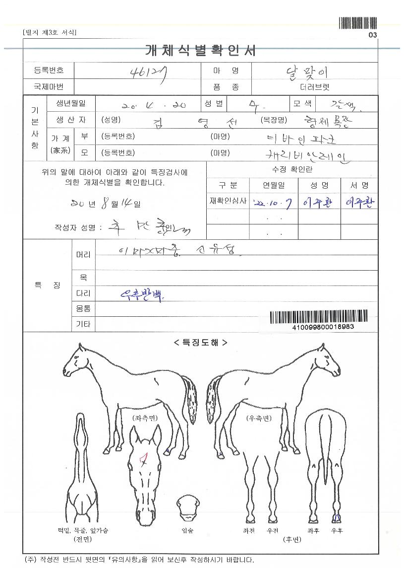 ´Þ¸ÂÀÌÀÇ Ãø¸é,¿ì¸é,µÞ¸é,µÎ»ó,´Ù¸®ÀÇ Æ¯Â¡µµÇØ