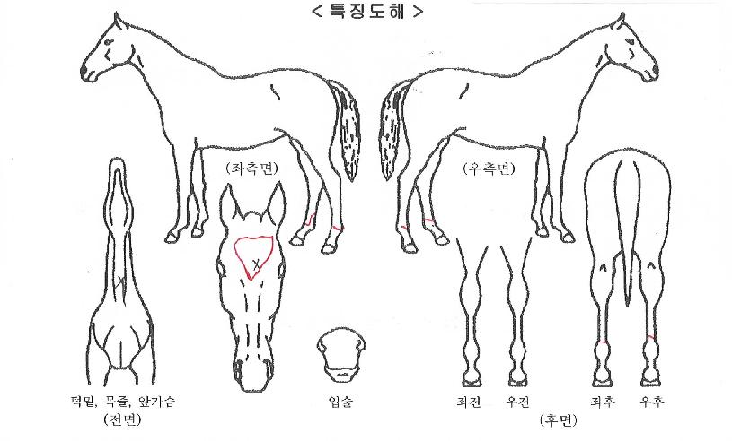 �ؽ�Ʈ������ ����,���,�޸�,�λ�,�ٸ��� Ư¡����