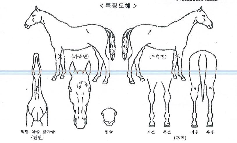 �������� ����,���,�޸�,�λ�,�ٸ��� Ư¡����