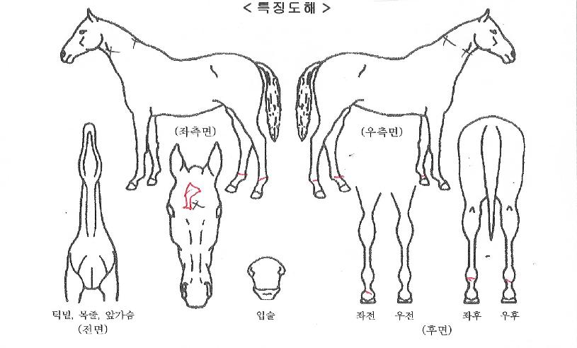 ��������� ����,���,�޸�,�λ�,�ٸ��� Ư¡����