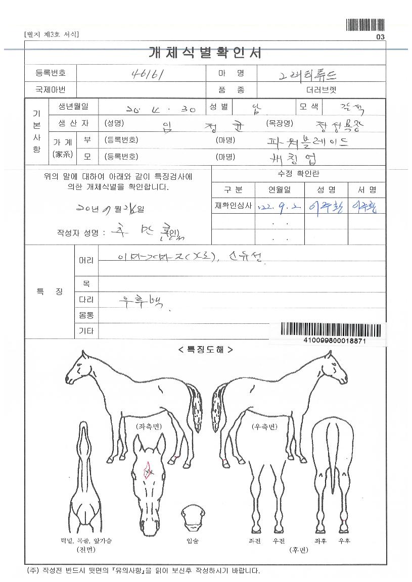 ±×·¡Æ¼Æ©µåÀÇ Ãø¸é,¿ì¸é,µÞ¸é,µÎ»ó,´Ù¸®ÀÇ Æ¯Â¡µµÇØ