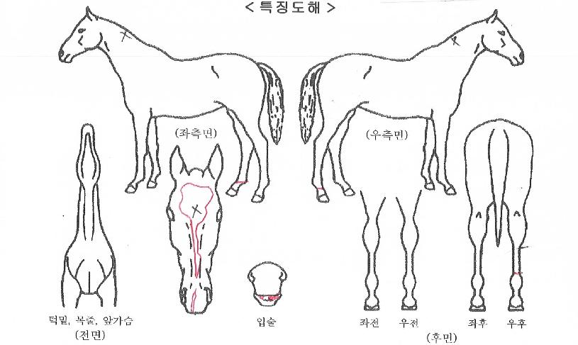 ��ŰƼ������ ����,���,�޸�,�λ�,�ٸ��� Ư¡����