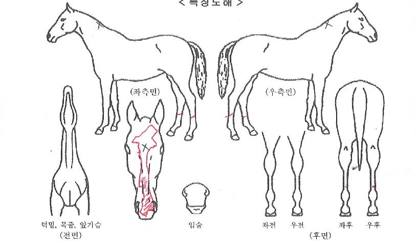 ����õ���� ����,���,�޸�,�λ�,�ٸ��� Ư¡����