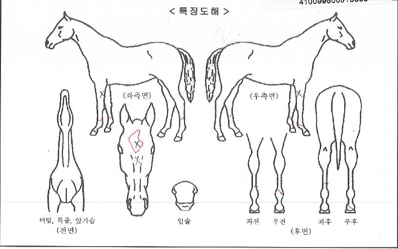 ����÷���ũ�� ����,���,�޸�,�λ�,�ٸ��� Ư¡����