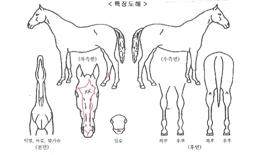 ������Ű�� ����,���,�޸�,�λ�,�ٸ��� Ư¡����