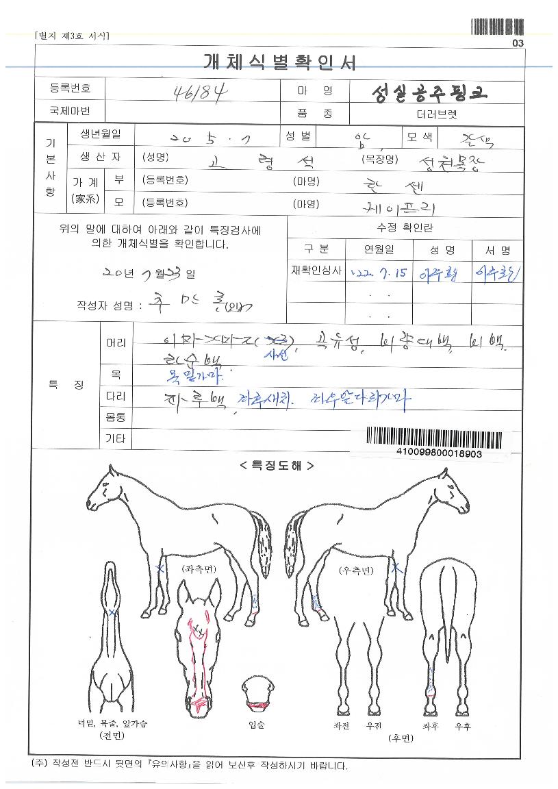 ¼º½Ç°øÁÖÇÎÅ©ÀÇ Ãø¸é,¿ì¸é,µÞ¸é,µÎ»ó,´Ù¸®ÀÇ Æ¯Â¡µµÇØ