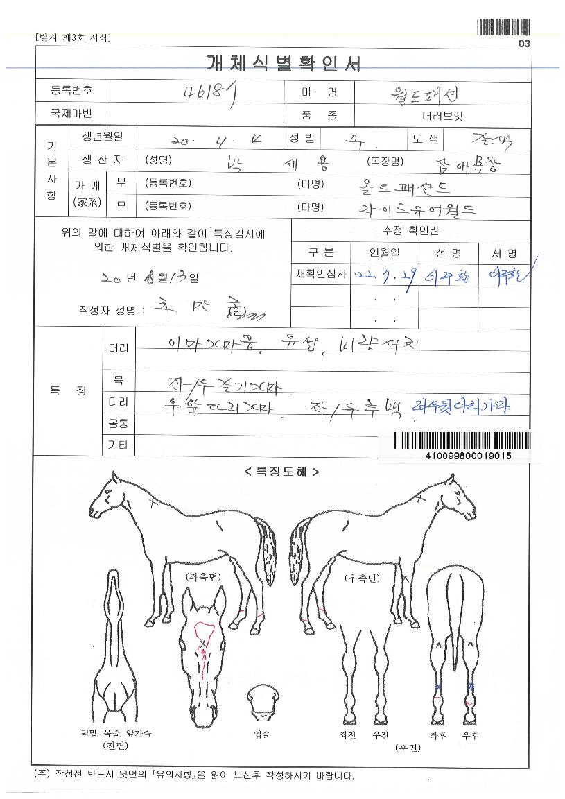 ¿ùµåÆÐ¼ÇÀÇ Ãø¸é,¿ì¸é,µÞ¸é,µÎ»ó,´Ù¸®ÀÇ Æ¯Â¡µµÇØ