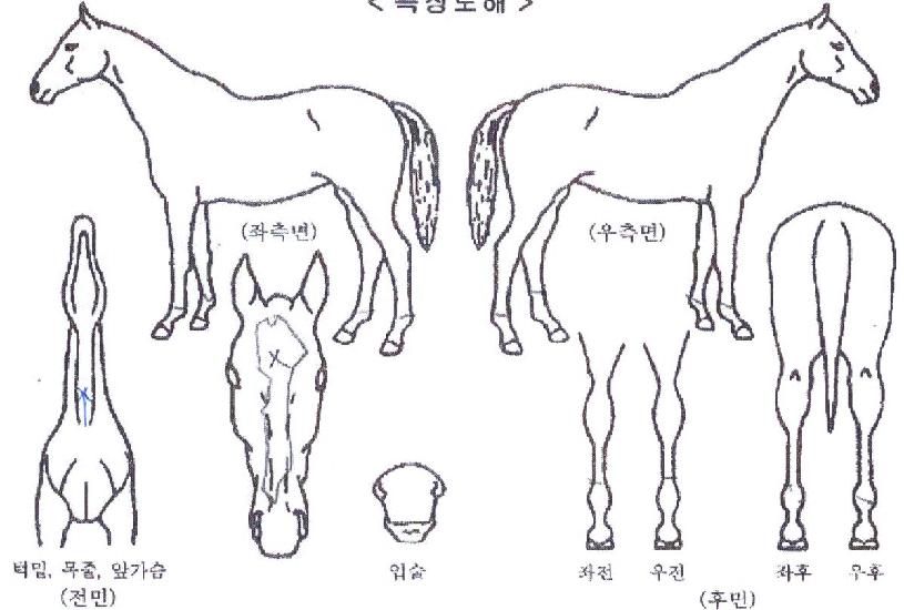 ��������� ����,���,�޸�,�λ�,�ٸ��� Ư¡����