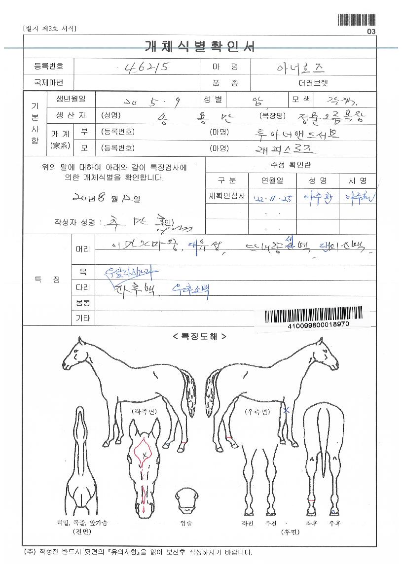 �Ƴʷ����� ����,���,�޸�,�λ�,�ٸ��� Ư¡����