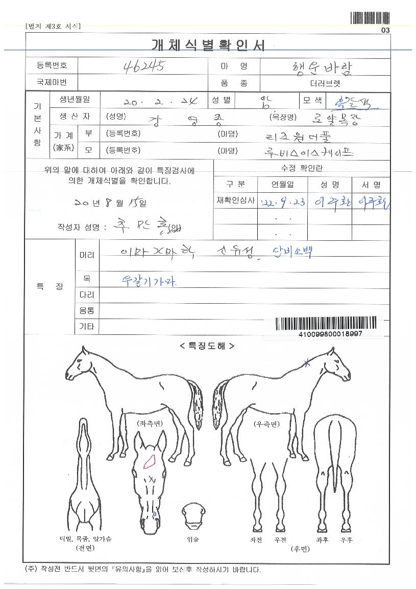 ���ٶ��� ����,���,�޸�,�λ�,�ٸ��� Ư¡����