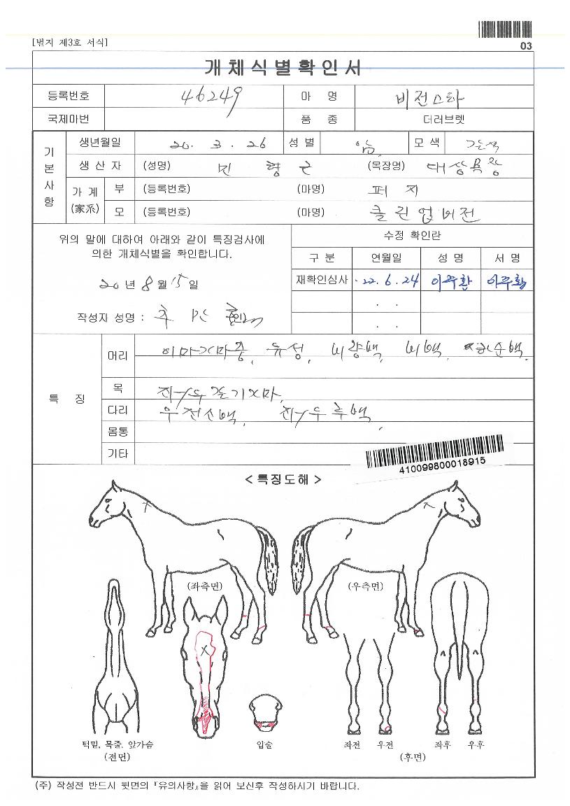 ºñÀü½ºÅ¸ÀÇ Ãø¸é,¿ì¸é,µÞ¸é,µÎ»ó,´Ù¸®ÀÇ Æ¯Â¡µµÇØ