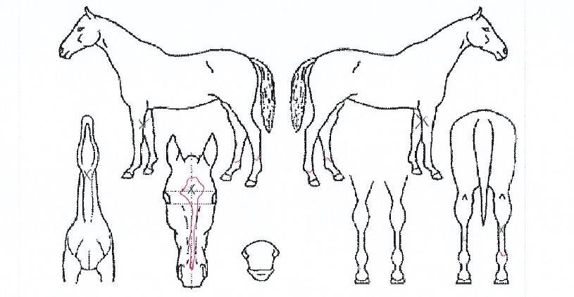 �����̽�Ÿ���� ����,���,�޸�,�λ�,�ٸ��� Ư¡����