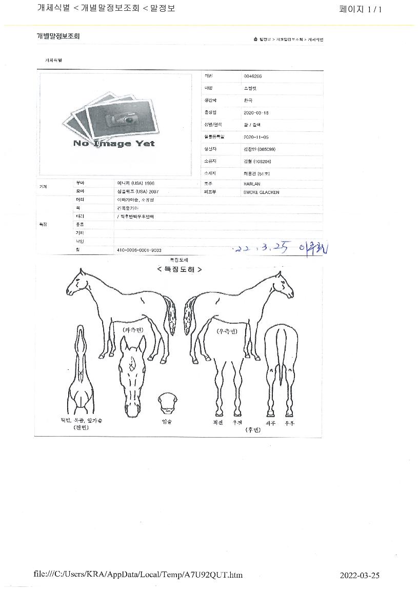 ½ºÅ»·¿ÀÇ Ãø¸é,¿ì¸é,µÞ¸é,µÎ»ó,´Ù¸®ÀÇ Æ¯Â¡µµÇØ