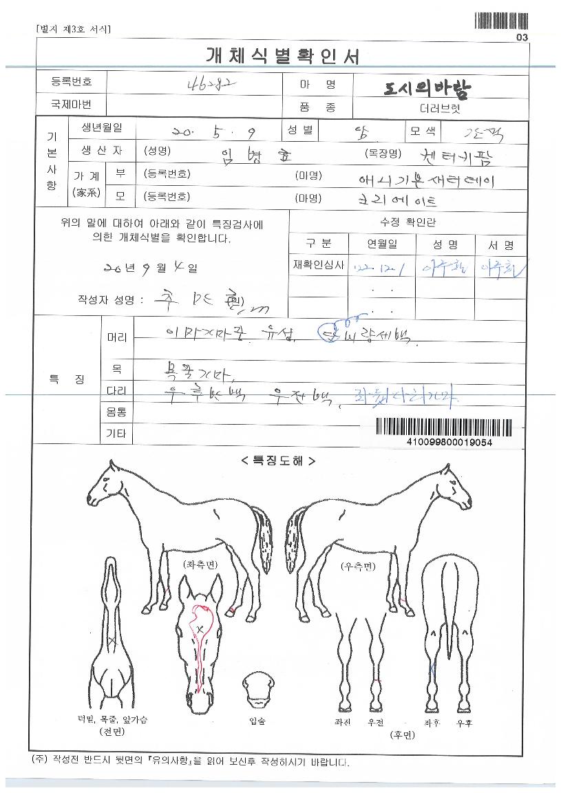 µµ½ÃÀǹٶ÷ÀÇ Ãø¸é,¿ì¸é,µÞ¸é,µÎ»ó,´Ù¸®ÀÇ Æ¯Â¡µµÇØ