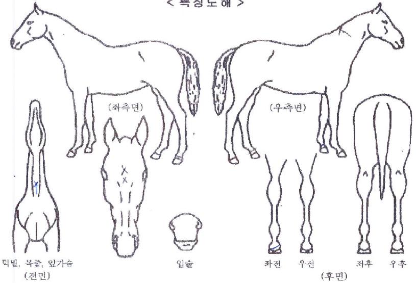 ���ڹ���Ʈ�� ����,���,�޸�,�λ�,�ٸ��� Ư¡����