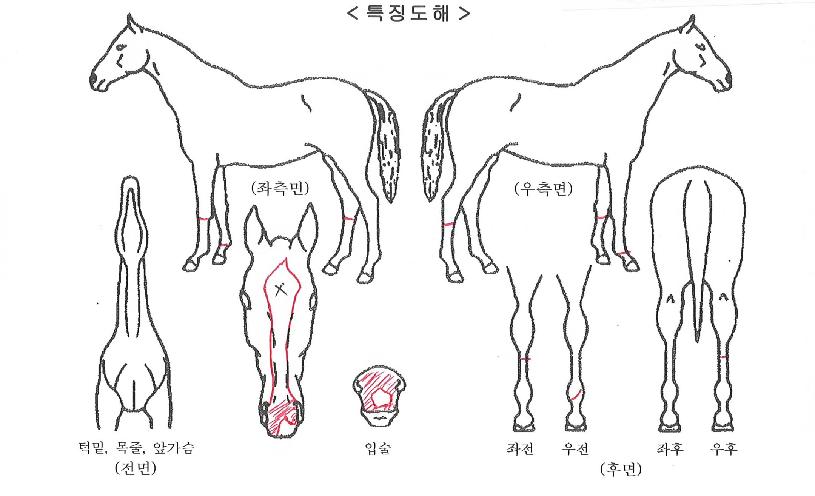 ���̽���Ÿ�� ����,���,�޸�,�λ�,�ٸ��� Ư¡����