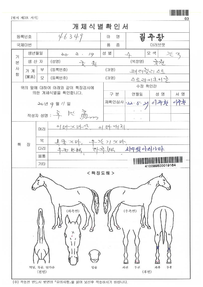 ÁúÁÖ¿ÕÀÇ Ãø¸é,¿ì¸é,µÞ¸é,µÎ»ó,´Ù¸®ÀÇ Æ¯Â¡µµÇØ