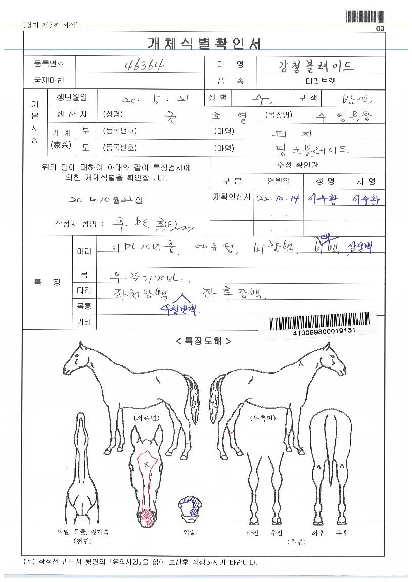 °Ã¶ºí·¹À̵åÀÇ Ãø¸é,¿ì¸é,µÞ¸é,µÎ»ó,´Ù¸®ÀÇ Æ¯Â¡µµÇØ