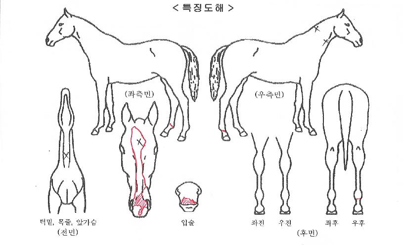 ����������� ����,���,�޸�,�λ�,�ٸ��� Ư¡����