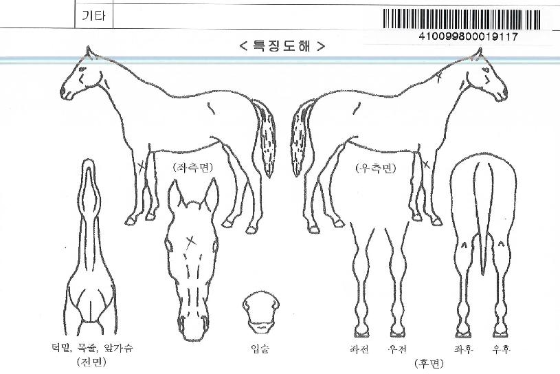 ·ÎµåÅõ¼±´õÀÇ Ãø¸é,¿ì¸é,µÞ¸é,µÎ»ó,´Ù¸®ÀÇ Æ¯Â¡µµÇØ