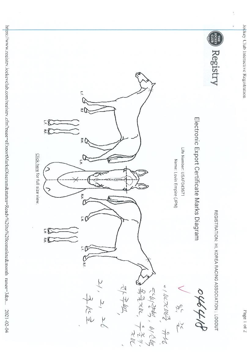 �������̾��� ����,���,�޸�,�λ�,�ٸ��� Ư¡����