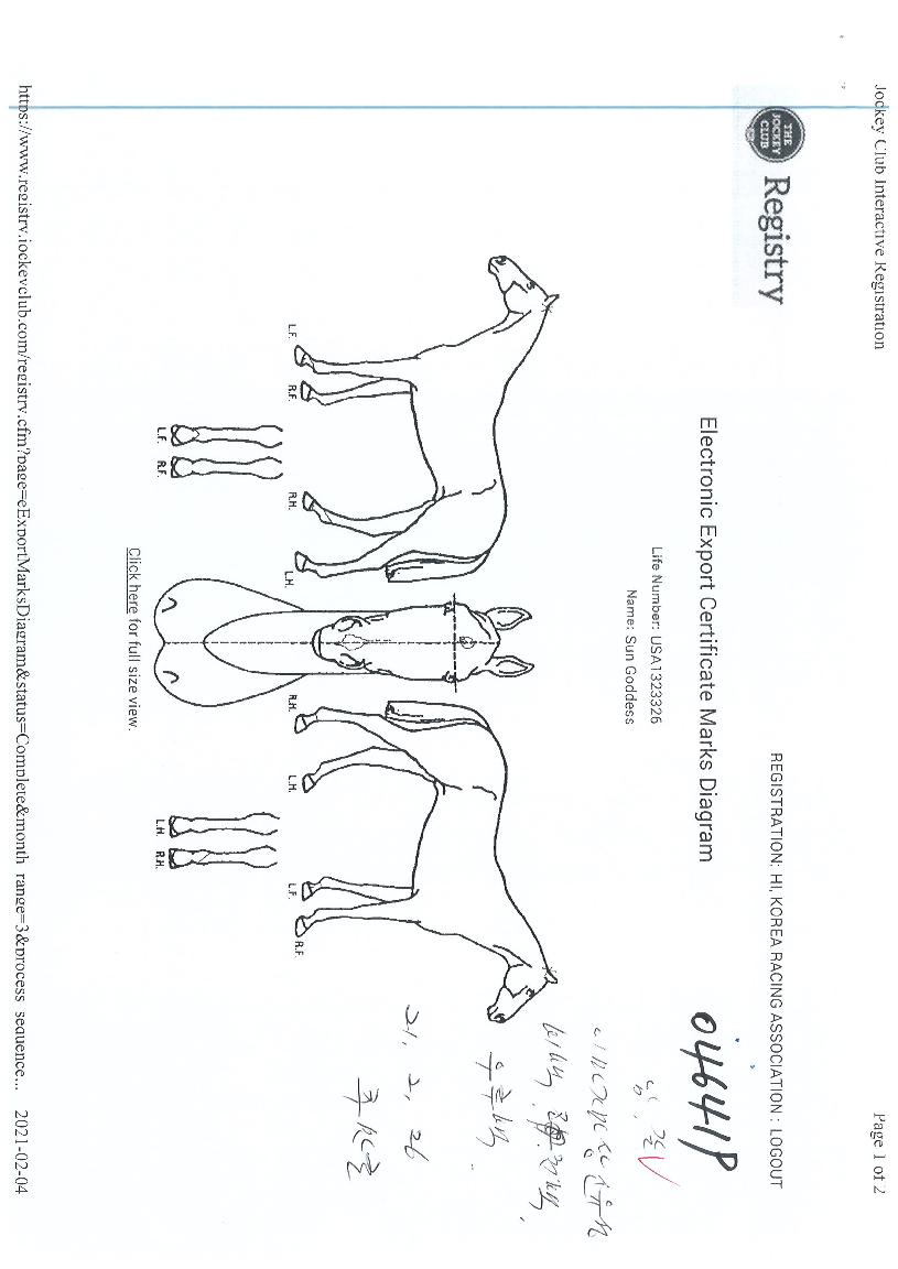 ¼±°¡µð½ºÀÇ Ãø¸é,¿ì¸é,µÞ¸é,µÎ»ó,´Ù¸®ÀÇ Æ¯Â¡µµÇØ