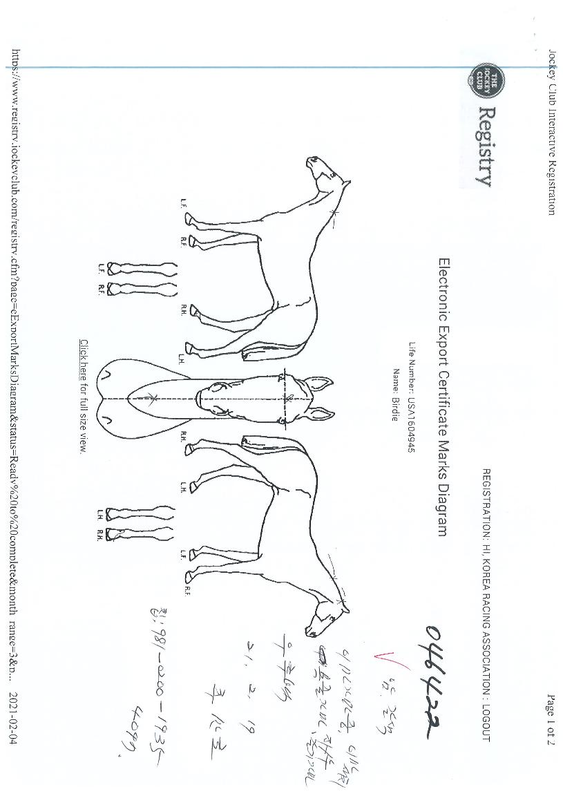 ������ ����,���,�޸�,�λ�,�ٸ��� Ư¡����