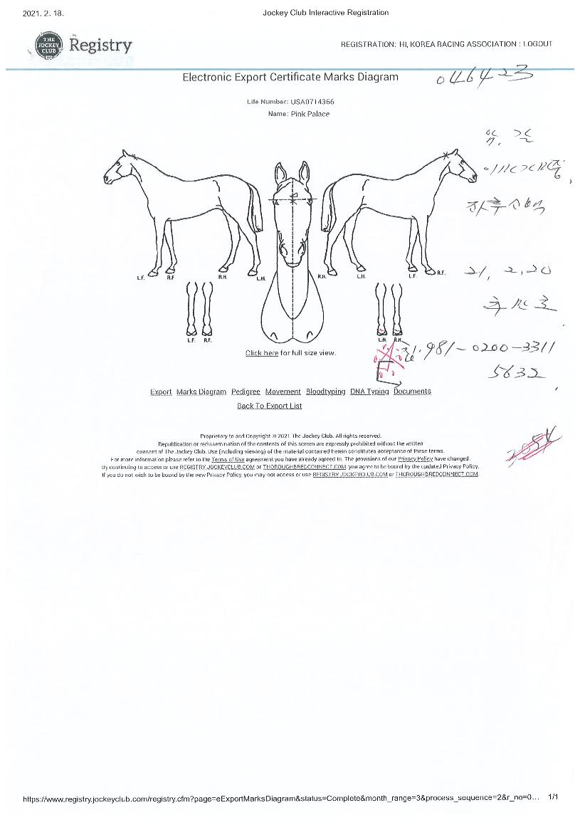 ÇÎÅ©Æç¸®½ºÀÇ Ãø¸é,¿ì¸é,µÞ¸é,µÎ»ó,´Ù¸®ÀÇ Æ¯Â¡µµÇØ