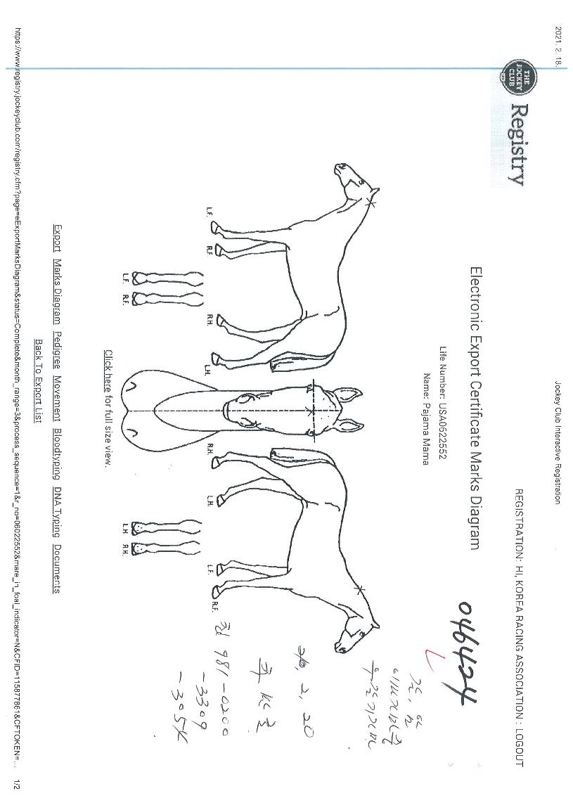 ÆÄÀÚ¸¶¸¶¸¶ÀÇ Ãø¸é,¿ì¸é,µÞ¸é,µÎ»ó,´Ù¸®ÀÇ Æ¯Â¡µµÇØ