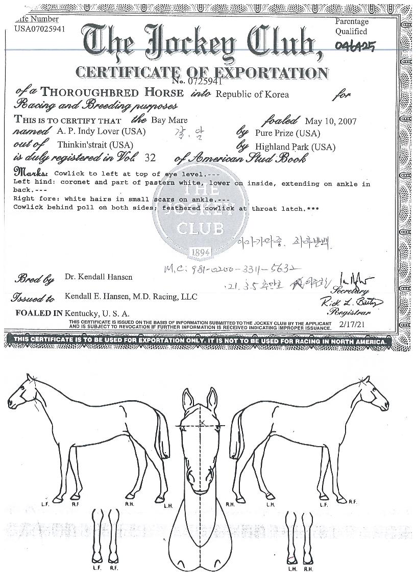 �������ε𷯹��� ����,���,�޸�,�λ�,�ٸ��� Ư¡����