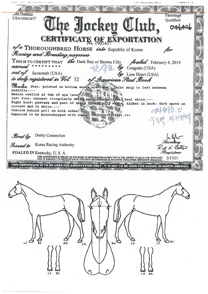 ������Ʈ�� ����,���,�޸�,�λ�,�ٸ��� Ư¡����