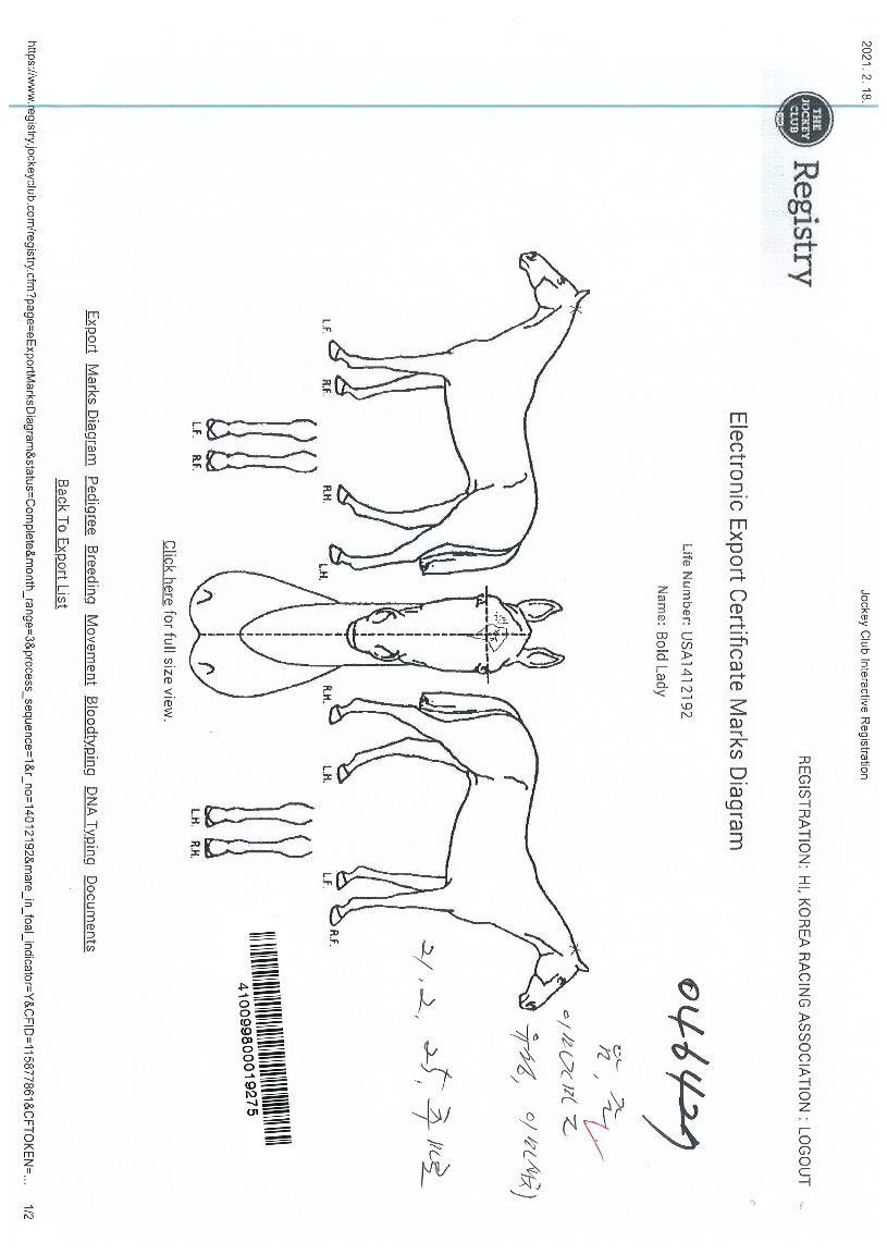 º¼µå·¹À̵ðÀÇ Ãø¸é,¿ì¸é,µÞ¸é,µÎ»ó,´Ù¸®ÀÇ Æ¯Â¡µµÇØ