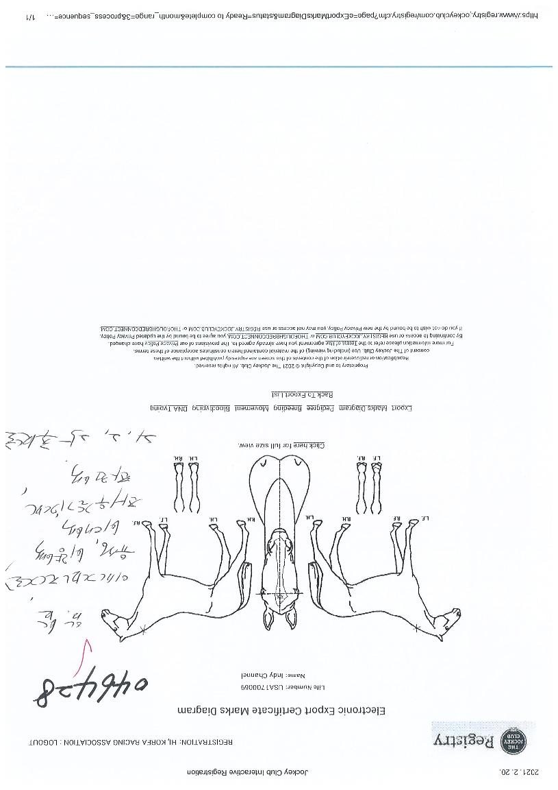 �ε�ä���� ����,���,�޸�,�λ�,�ٸ��� Ư¡����