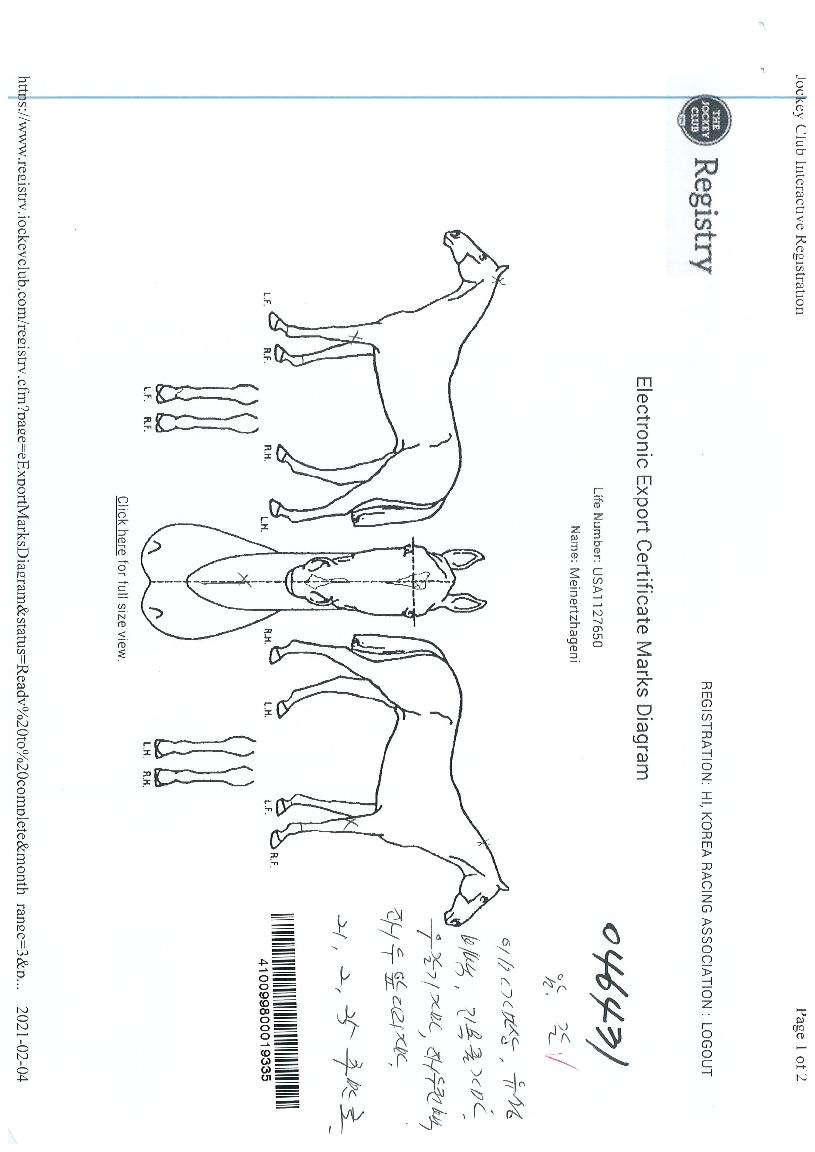 ���̳����������� ����,���,�޸�,�λ�,�ٸ��� Ư¡����