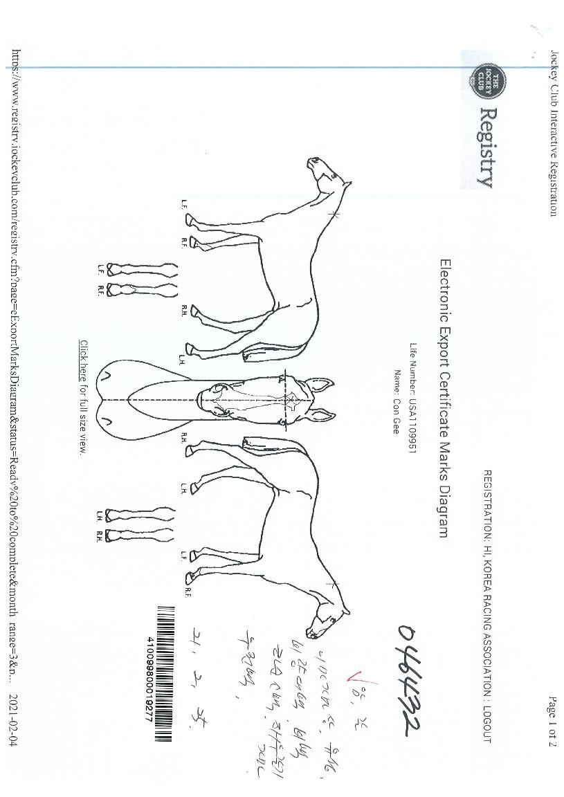 ������ ����,���,�޸�,�λ�,�ٸ��� Ư¡����